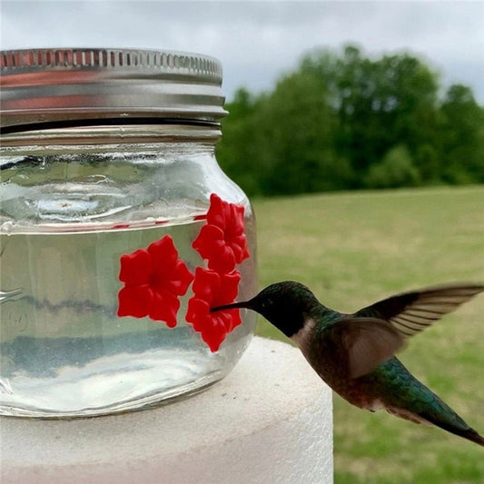 Hanging Bird Feeder Outdoor Hummingbird Feeder, Jar, Bulb