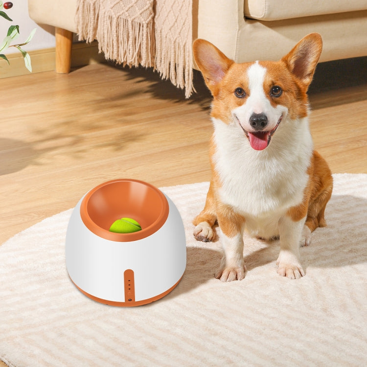 Dog with an orange-and-white tennis ball launcher on the floor with tennis ball inside.