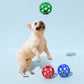 Dog playing with rubber hollow balls, green ball overhead and red/blue balls nearby