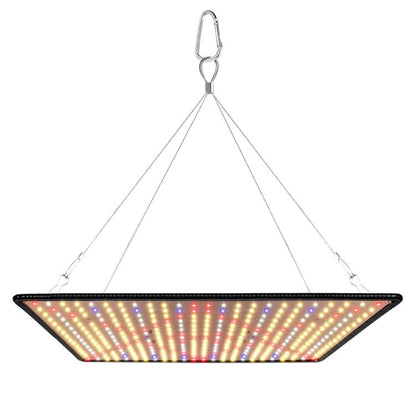 TBD0603422703A.jpg@30e1618b6d4120a92ab5bdcc8836d88d