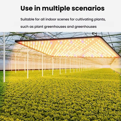 TBD06034227_B9.jpg@632692526e0748d7f573fa54d5ce98a1