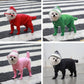Four views of pets wearing red, green, pink, and black hooded raincoats