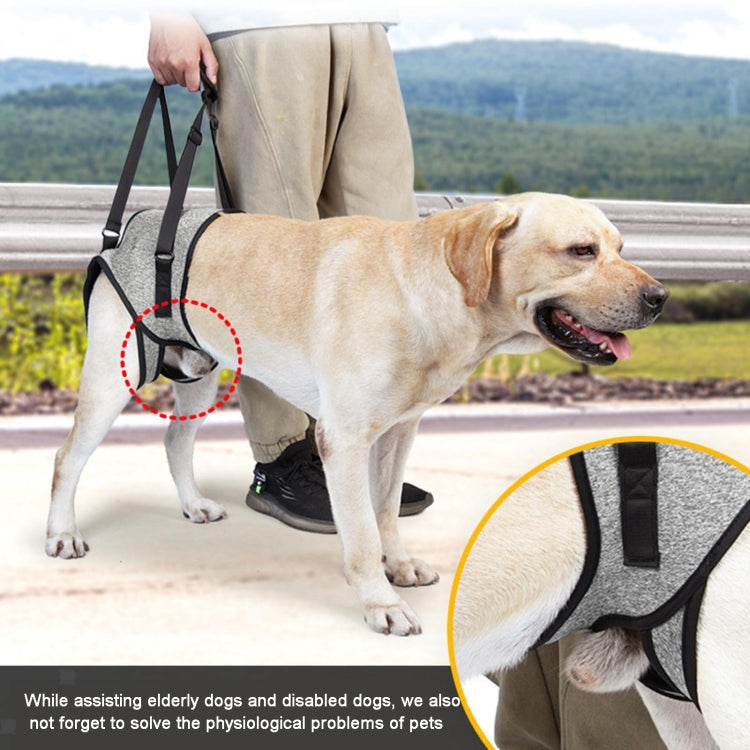 Dog wearing hind-leg support harness with rear sling straps and soft gray pad
