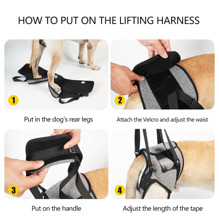 Dog hind-leg lifting harness placement steps with handle and adjustable velcro waist