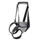 Dog hind-leg lifting harness with gray pad and rounded leg sling openings
