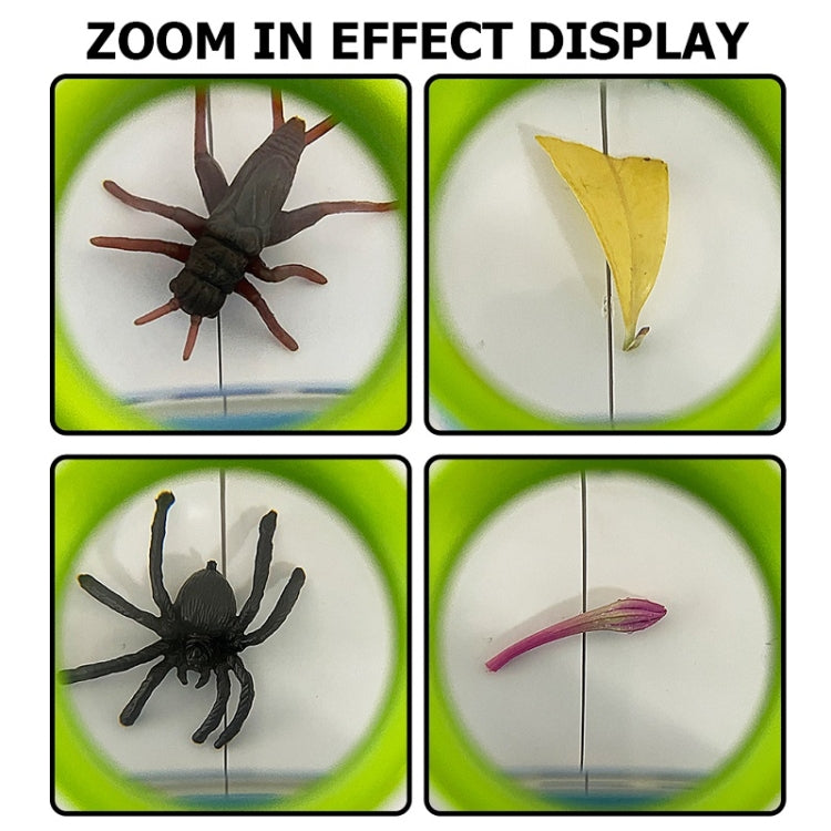 Zoom-in lens display panel showing magnified insects and plant samples