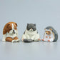 Warm zoo fridge magnet figures: pug dog, gray cat, and hedgehog