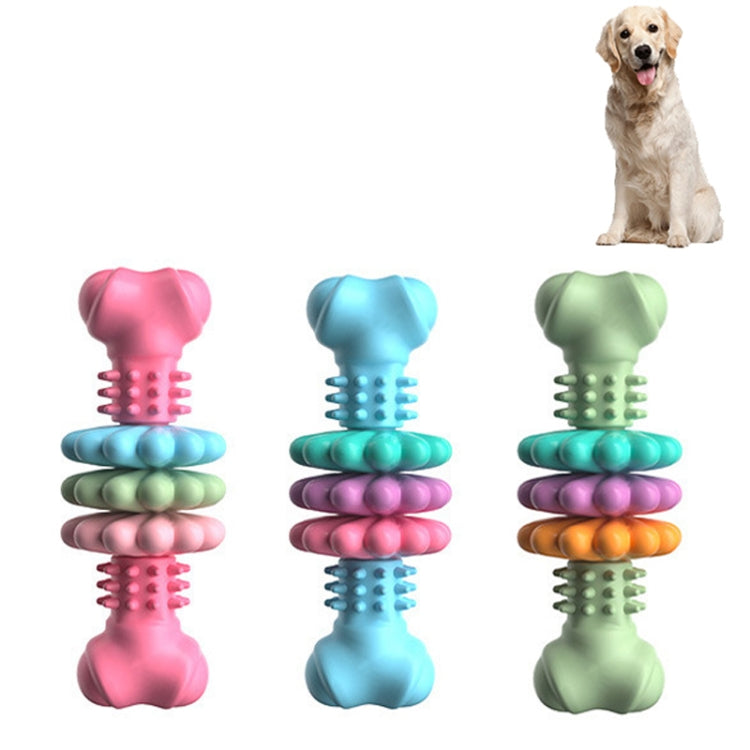 Bone-shaped dog teething chew toys in pink, blue, and green with ridged centers