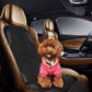 TBD06037068_B6.jpg@9252731e1a6949d915b58bade00dc4cb