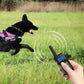 Handheld dog training remote with LCD screen and control buttons, wireless