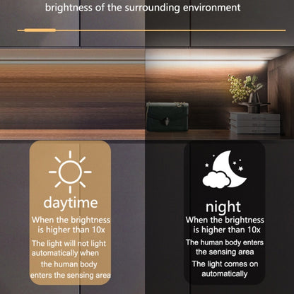 TBD06042883_B11.jpg@3458a3ef88b7148757cb9101778f41a3