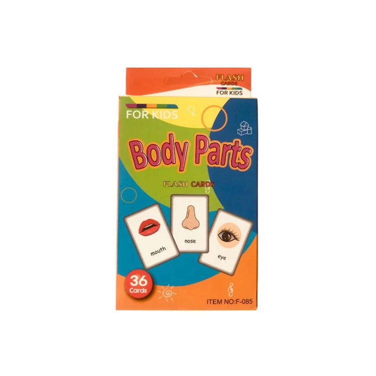 Children's body parts flash card set box, 36 English word cards for kids