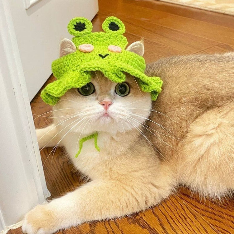 Green knitted frog hat for cats and dogs, with big eyes and pink details