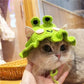 Green knitted frog hat on cat, round black eyes and textured body