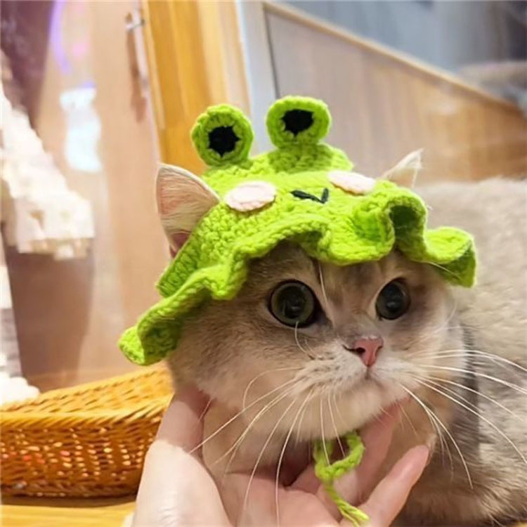Green knitted frog hat on cat, round black eyes and textured body