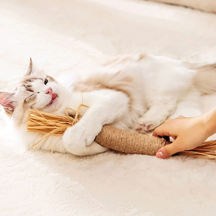 Cat playing with silvervine cat dental toy, sisal-wrapped stick with raffia tassel