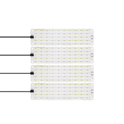 TBD0604774604B.jpg@f5e636025e796dbaa153b5d0f68ecdde