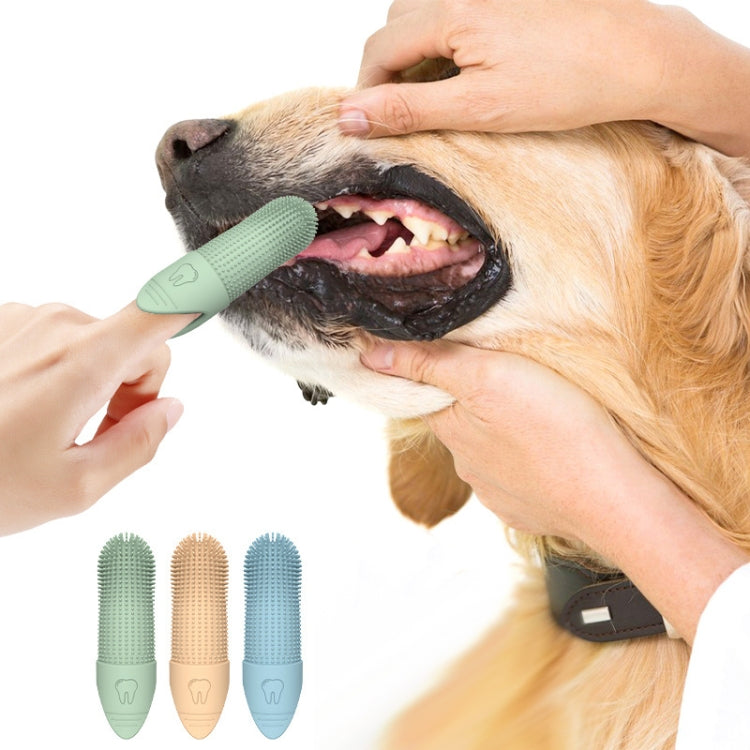 Blue silicone finger toothbrush brushing a dog's teeth