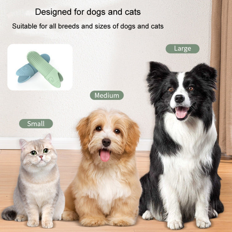 Silicone pet finger toothbrush for dogs and cats, blue and green options