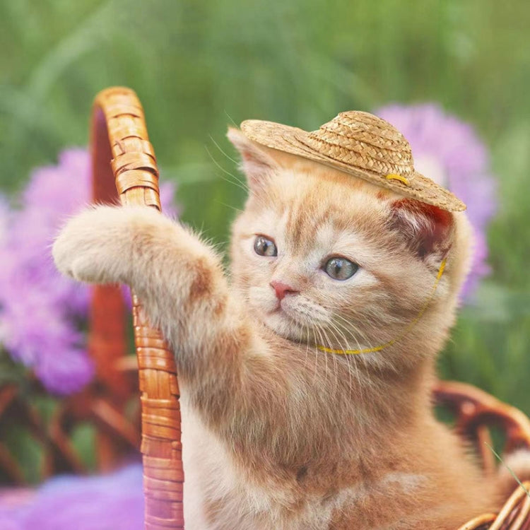 Kitten wearing tan woven straw pet sun hat with yellow tie under chin