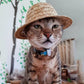 Cat wearing tan woven straw pet sun hat with chin strap and eyelet trim