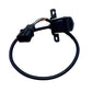 Rearview reversing assist camera module with multi-wire connector and mount bracket