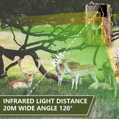 TBD06057769_B5.jpg@ad73101dca3cfb8b27681e6212c6ff5c