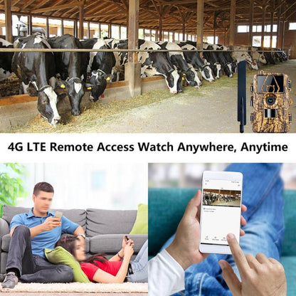 TBD06057769_B9.jpg@ef2767a16be09fb5f19109e2a24ad008