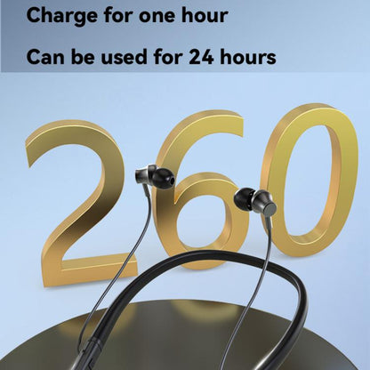 TBD06058256_B7.jpg@8a4b8f6e951a460b89eaac80a7f6a2f2