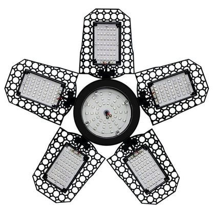 TBD0605838002.jpg@eba3c01833009f4d82d01ef3dc475f7b