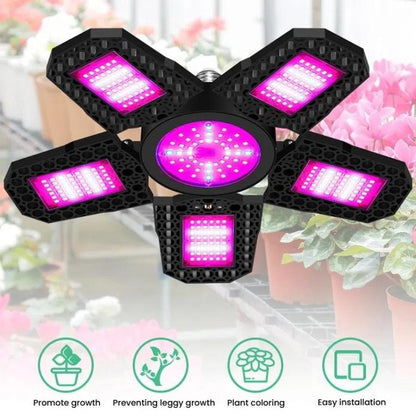 TBD06058380_B1.jpg@229516eacb4b1ff17b5480072db15860