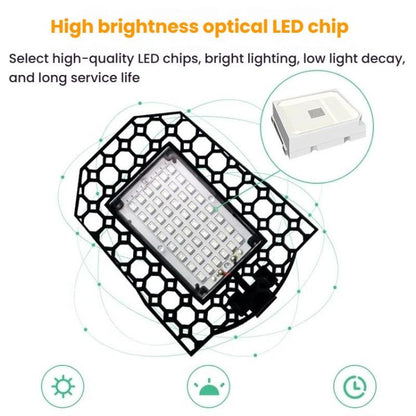 TBD06058380_B6.jpg@fac0a40012c36f1e90203ee0dfc79374