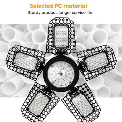 TBD06058380_B7.jpg@efc56246b3e50f546a14c8d663dc41ee