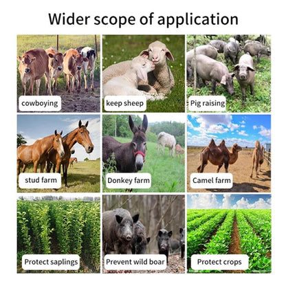 TBD06059063_B2.jpg@bd61bad5454a0043b94d0f778dc76e88