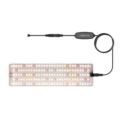 TBD0605982801C.jpg@076c9aab95af897edc713f7abd6626a4