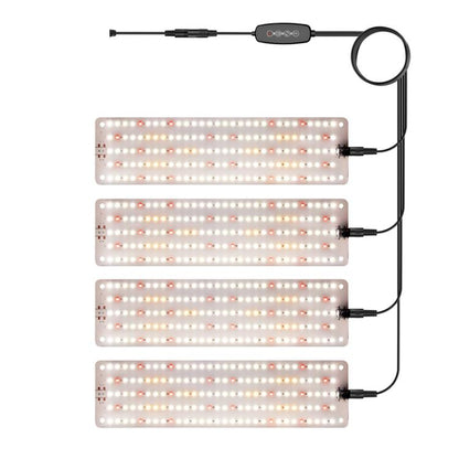 TBD0605982804C.jpg@99792f6c8fff4704c5cddf9a3251277f