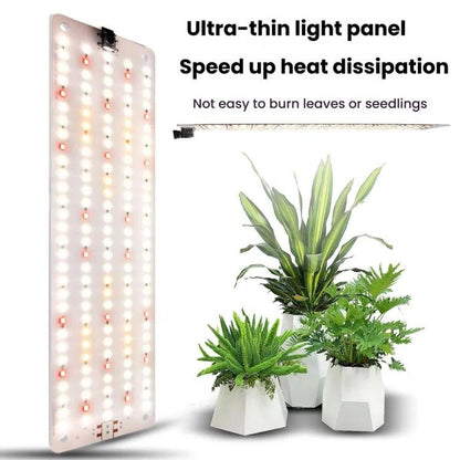 TBD06059828_B3.jpg@6c4376ca0c5758c720a280e5e8595718