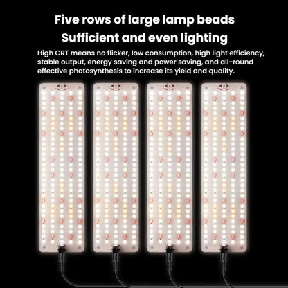 TBD06059828_B8.jpg@36f10bdc8c460655aedfd74b1146a5cc