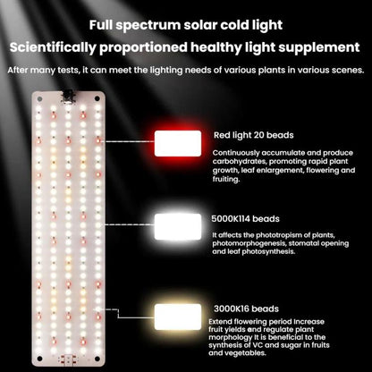 TBD06059828_B9.jpg@5d571c1b33a5aa2e2b89c7920d1f015b