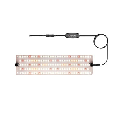 TBD0605984101B.jpg@1bf260eded5dbb8be38c16b96c3fdc54