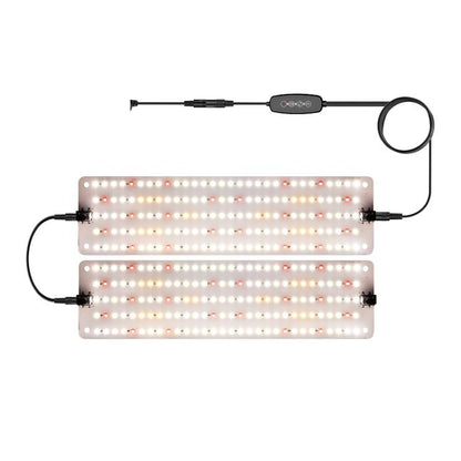 TBD0605984102A.jpg@0a177446868bf0219759738bef680994