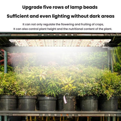 TBD06059841_B3.jpg@42b5f8a3f86e87e6c02b747f8c60b9ad