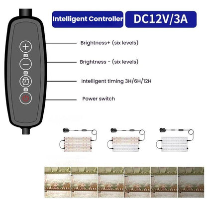 TBD06059841_B4.jpg@48b12a2f6b02a91b28d0bbe3e1d1af9f