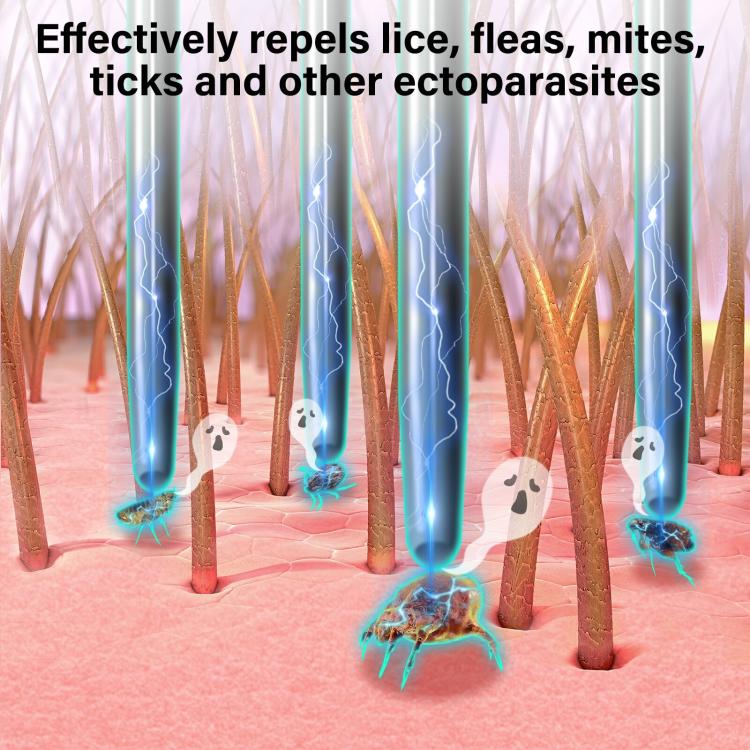 TBD06060482_B2.jpg@f0a3672b661b74abf2c322d53ebdbb0b