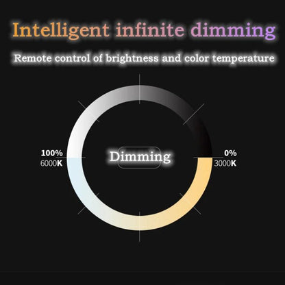 TBD06060502_B5.jpg@560632a5d5f1b074e471a59304839319