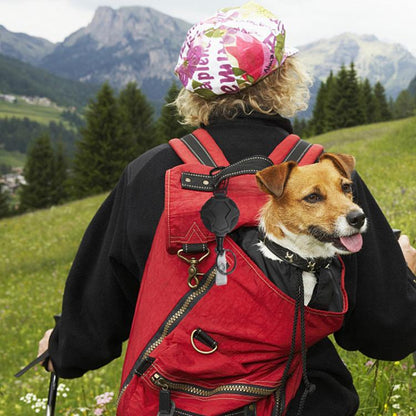 TBD06060808_B3.jpg@4c21cabe77d1f086ce5cd4d7d17ad18f