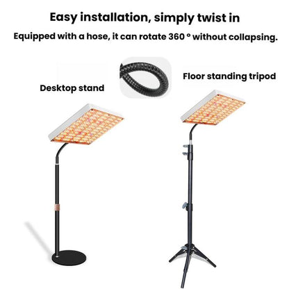 TBD06061105_B5.jpg@77b218f24cbb2e636ed09f370595f613