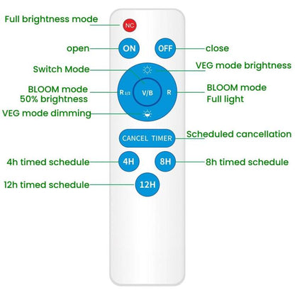 TBD06061105_B7.jpg@99e34b5578ed78fb196e3d471f963dcb