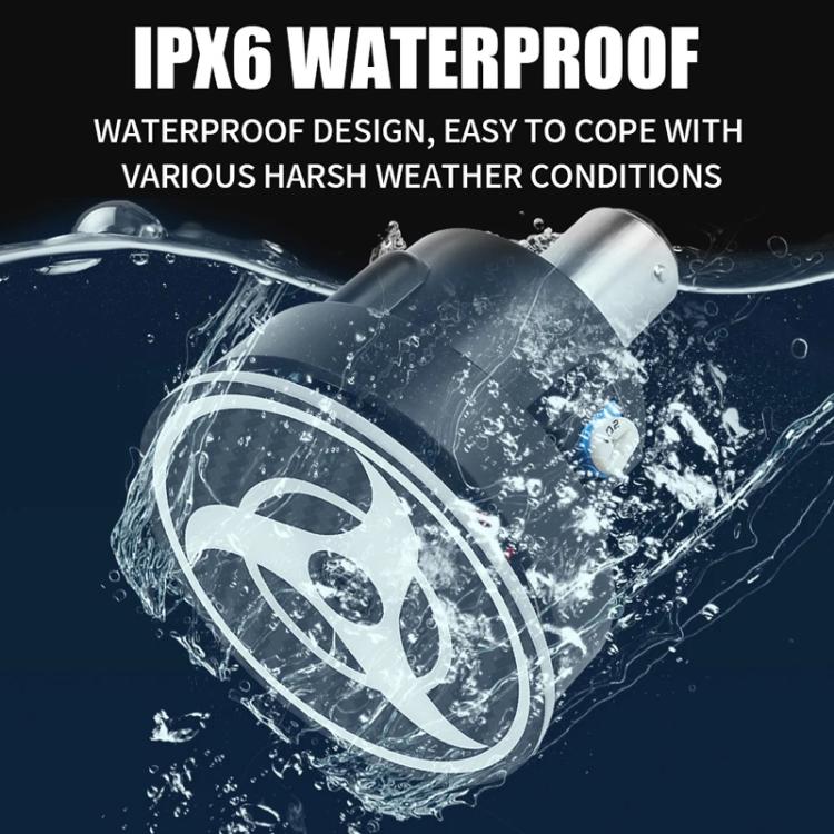 TBD06061232_B6.jpg@79304531ad39bbd23a819db73df94dd8