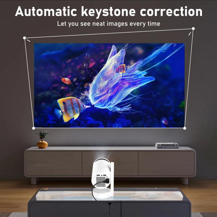 TBD06061569_B6.jpg@40f65ac9348ce9fc7862b705ebf135d8